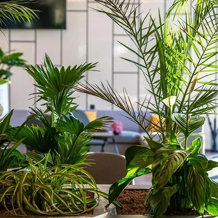 Flow & Conference Hotel Inárcs