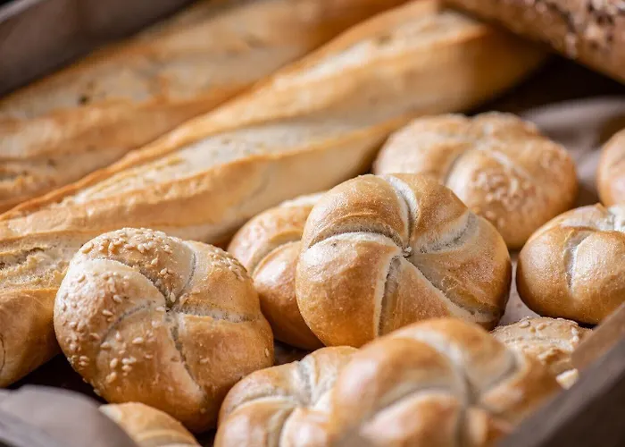 Flow & Conference Hotel 4*